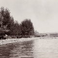 Balaton-part.