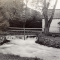 fotok 46837