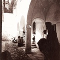 fotok 46488