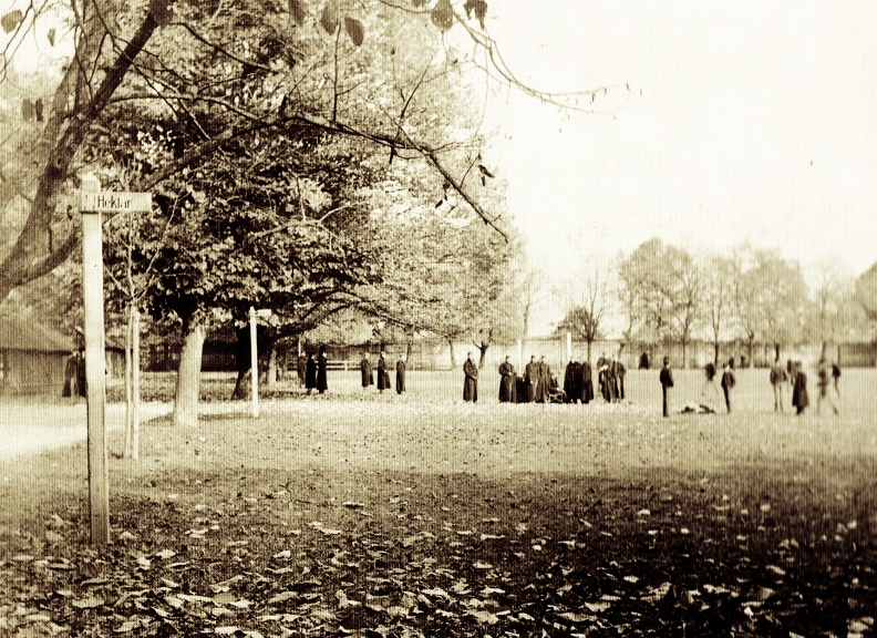 fotok_46515.jpg