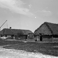 fotok 41178