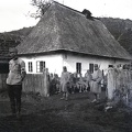 fotok 52822