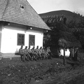 fotok 52824