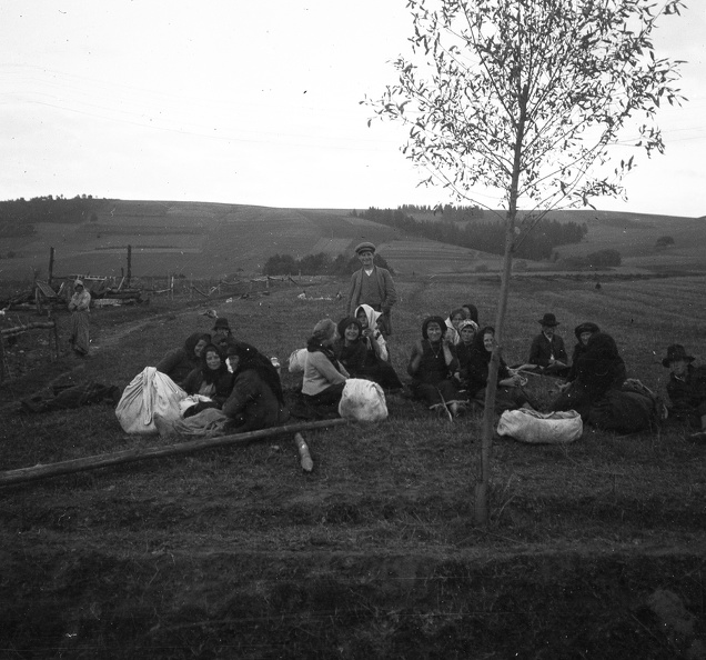 fotok_52851.jpg