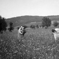 fotok 9846