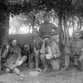 fotok 17681