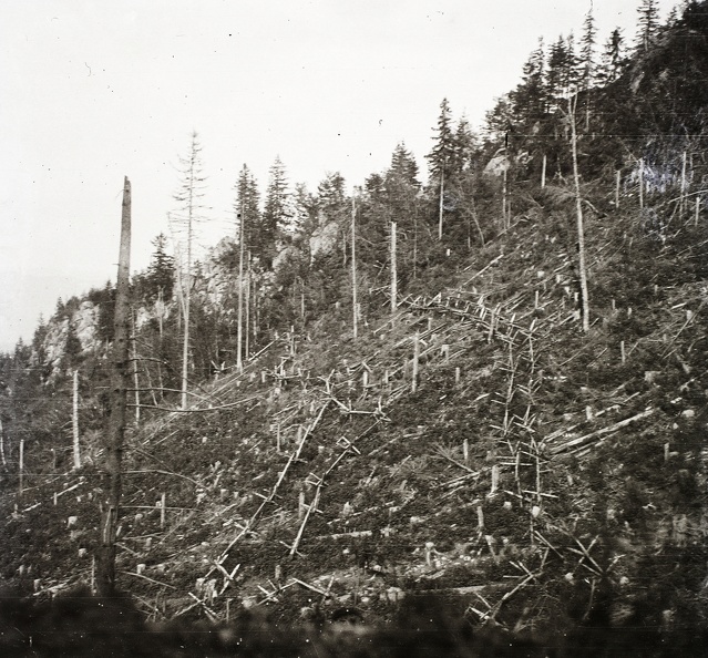 fotok_52442.jpg