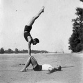 fotok 18938