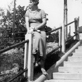 fotok 37744