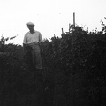 fotok 11041