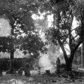 fotok 36097