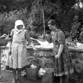 fotok 15406