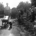 fotok 26108