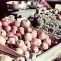 fotok 26366