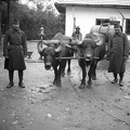 fotok 42283