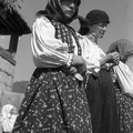 fotok 48341
