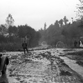 fotok 48561