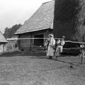 fotok 48590