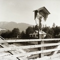 fotok 52725