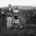 fotok 18187