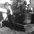 szüret.