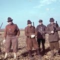 fotok 24965