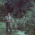 fotok 36253