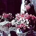 fotok 26422