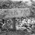 fotok 48422