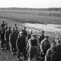 fotok 48424