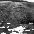 fotok 11735