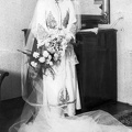 fotok 18291