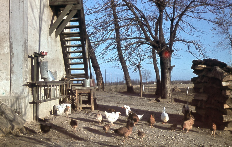 fotok_24974.jpg
