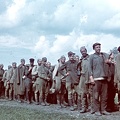 fotok 26350