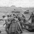 fotok 28163