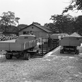fotok 43296