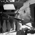 fotok 49380