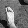 fotok 49627