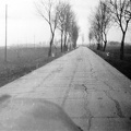 fotok 1443