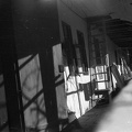 fotok 49187