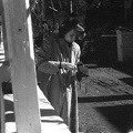 fotok 49188