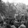 fotok 49189