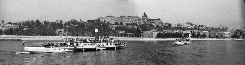 fotok_49331.jpg