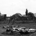 fotok 49367