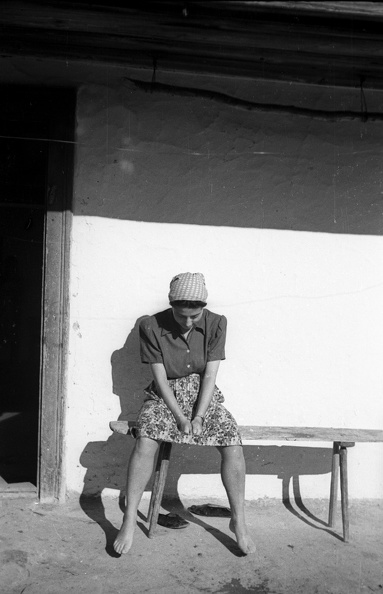fotok_50437.jpg