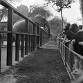 fotok 5042