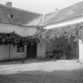 Alkotmány utca 85. Udvari homlokzat.