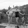 fotok 12902