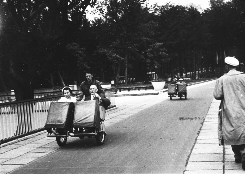 fotok_48184.jpg