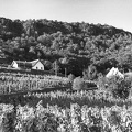 Kisfaludy-ház.